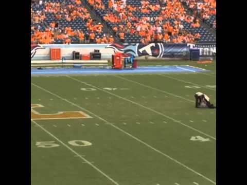 Tennessee Fan destroyed by Security