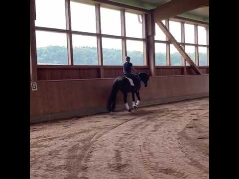 Thronfolger v  Herzensdieb