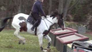 preview picture of video 'Reilly XC training Brechin 2'