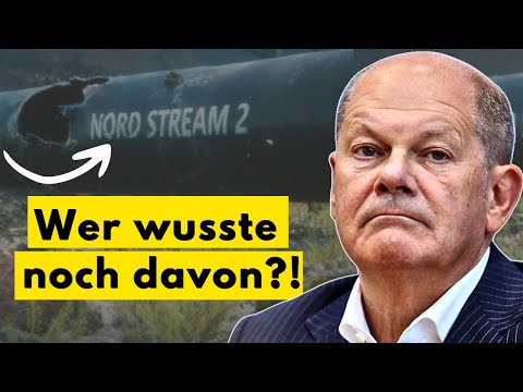 The game is over – Scholz and his colleagues are in the dock...