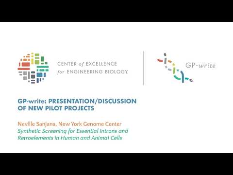 New Pilot Projects | Neville Sanjana