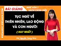 Tục ngữ về thiên nhiên lao động và con người xã hội Ngữ văn lớp 7 Cánh diều