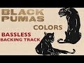 BLACK PUMAS - COLORS - BASSLESS BACKING TRACK