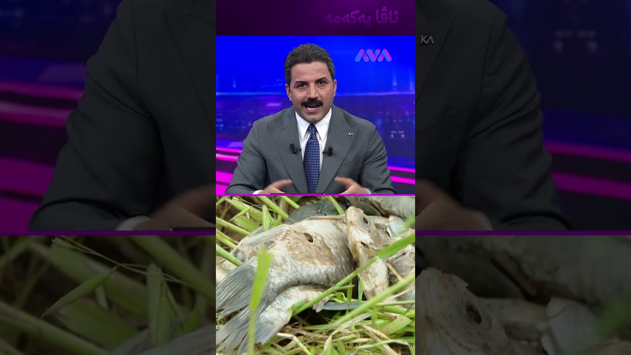 ڤیدیۆ | هەزاران ماسی لە دووکان مردار بوونەتەوە و پەڵەی نامۆیان لەسەرە