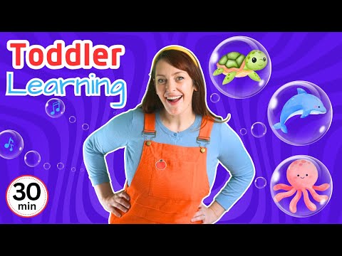 Learn Sea Animals | Educational Toddler Learning Video | Songs, Colours & Patterns | Phonics & BSL