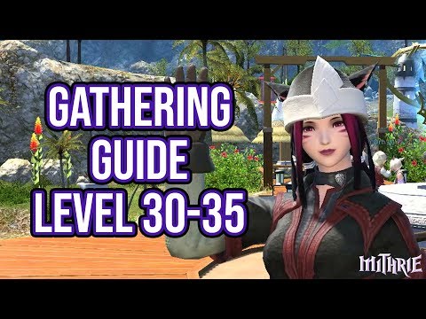 FFXIV 2.0 0094 Gathering Guide Level 30 to 35