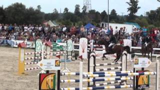 Video koně Vulkan L