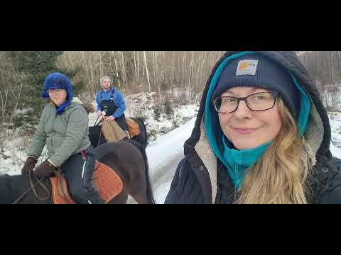 Snow day horsin around, Winter riding and spec versus porcupine .