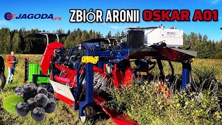 판매 중인 베리류 수확기 Jagoda Self-Propelled Berry Harvester OSKAR 4WD - 이미지 8 | Agroline KR 신품 베리류 수확기 Jagoda Self-Propelled Berry Harvester OSKAR 4WD | 이미지 8 - Agroline