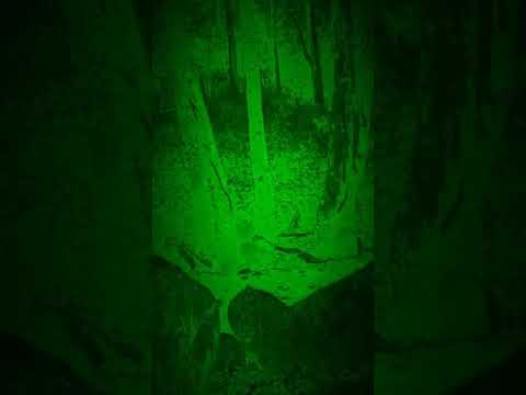 Young xela. freestyle one session