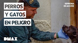 Thumbnail del capítulo
