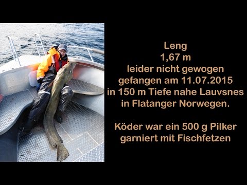 Leng 167 cm Drill in Flatanger Norwegen - norway fishing - GoPro Hero3