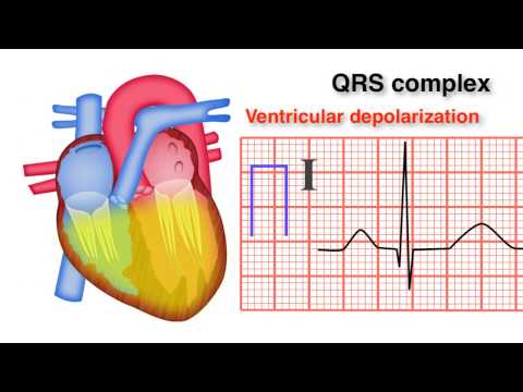 ECG Basics 8/10 - QRS Complex