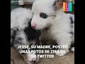 NPIGrb0zYe8/default.jpg