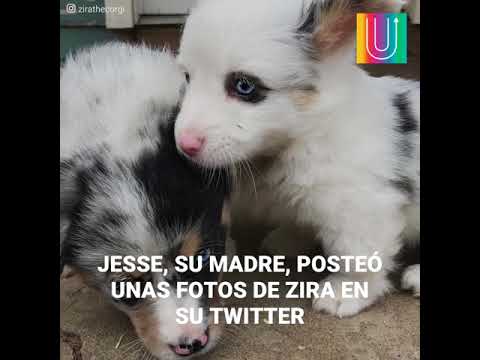 NPIGrb0zYe8/default.jpg