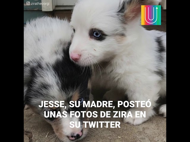 NPIGrb0zYe8/default.jpg