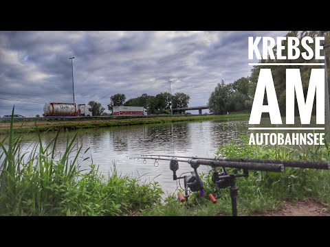 Krebse am Autobahnsee // Neues Gewässer, neue Herausforderung  // Karpfen Ultras //Videotagebuch 99
