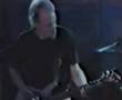 ALL DESCENDENTS JUST PERFECT (live)
