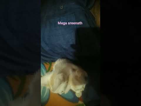 mega sreenath subscribe