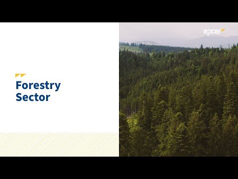 Forest Management: certification and trust with sustainable impact