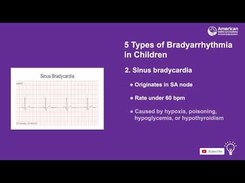 Chapter 4 - Part 1 - PALS by American Health Care Academy