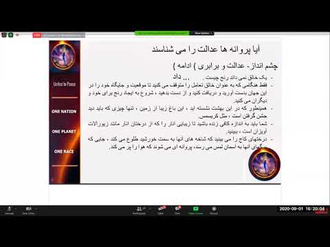 2020 09 01 PM Public Teaching in Portuguese - Tradução simultânea do OneNation-133