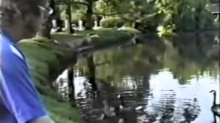 R. Stevie Moore ~ We Need Your Help (1982) HQ