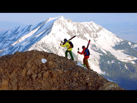 Free Range: The Costains