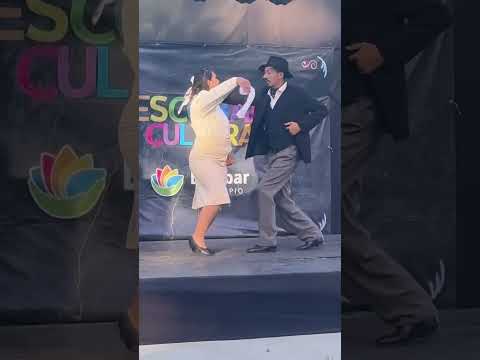 Ponce Barrientos  "Pre-Baradero 2026"  (propuesta Buenos Aires adiós) 