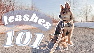 DOG LEASHES you need | how to choose your puppy's leashes