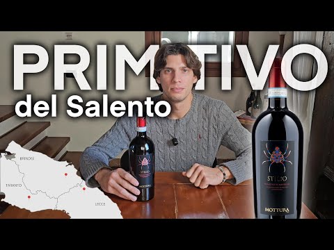 PRIMITIVO del SALENTO: un gusto RICCHISSIMO 🍷🔥
