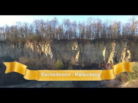 N-stein Video - Steinbruch Kallenberg  Eschelbronn  Feb 2017