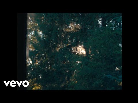 ZVRZ! - Stelle come te