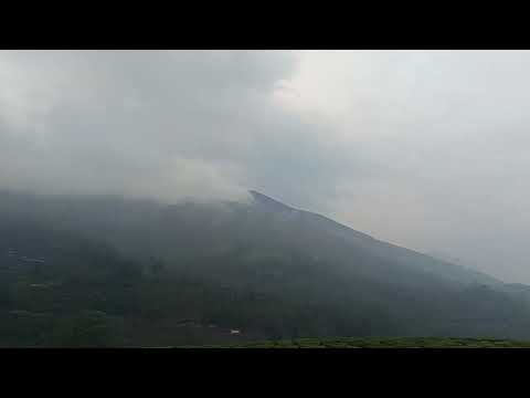 Nature lovers like and subscribe👍👍👍👍