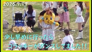 [2026.7.17] 知らん間にアイドル化されているコラッキー！ ＠SGLスタジアム～外の公園＆フィールドシート(1塁)視点～ 【阪神タイガース】