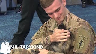 Soldier reunites with puppy he met overseas | Militarykind