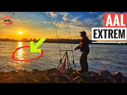 AAL EXTREM für GREGOR & UWE: Dieser GEFÄHRLICHE PLATZ am FLUSS ist VOLL MIT AALEN