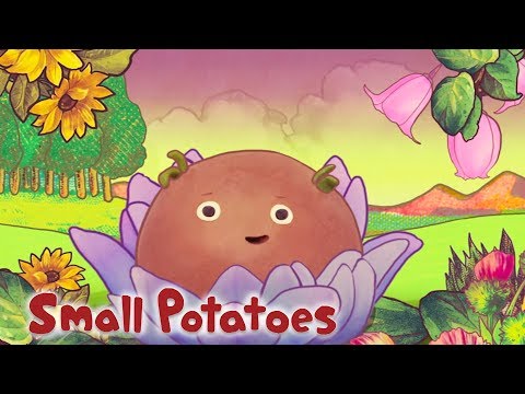 Small Potatoes - Happy Days | Songs for Kids