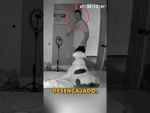 His own dog didn't recognize him and this happened #animals #dogs #dog #pets