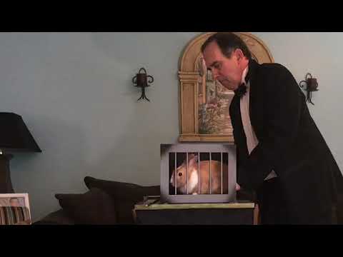 A Dove Trick and a Bunny Trick - Rene Teboe Magic
