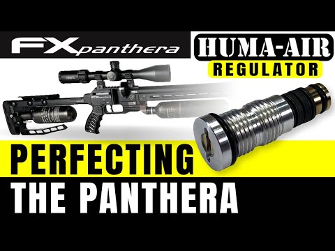 Regulator Showdown FX PANTHERA | AMP vs. HUMA - Unveiling the Champion!