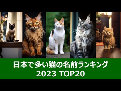 猫のさまざまな名前