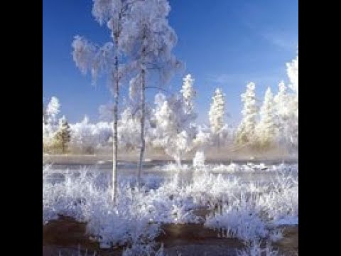 save the little yeti video walkthrough