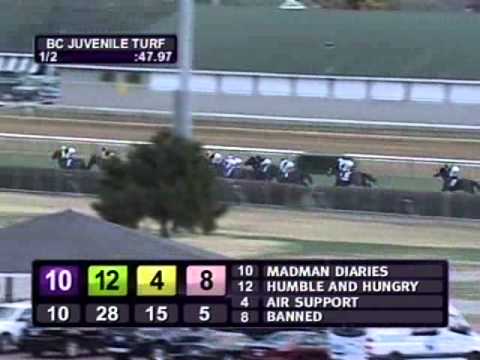 2010 Breeders Cup Juvenile Turf - Pluck