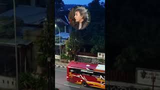 Download lagu STORY WA 🔥 IWAN FALS - Peringatan Buat Kaum Laki - Laki #shorts mp3