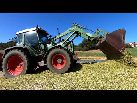 Maisernte 2019 - Krone Big X 630, Valtra, Steyr, Case, Fendt - [4K]
