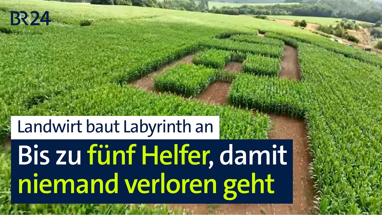Nach GPS-Daten gesät: Landwirt baut Maisfeld-Labyrinth an | BR24