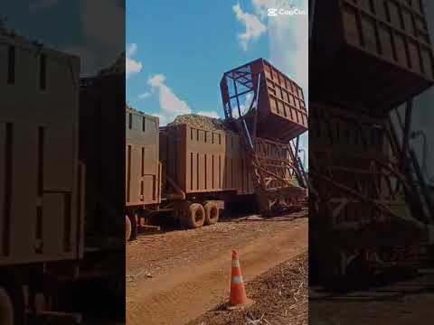 minas Gerais pirajuba