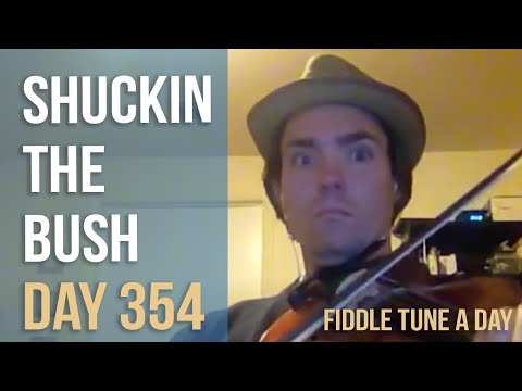 Shuckin' the Bush - Fiddle Tune a Day - Day 354