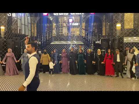 Muş Bostankent Aşiret Düğünü Gowenda Çepki .. 2021 )